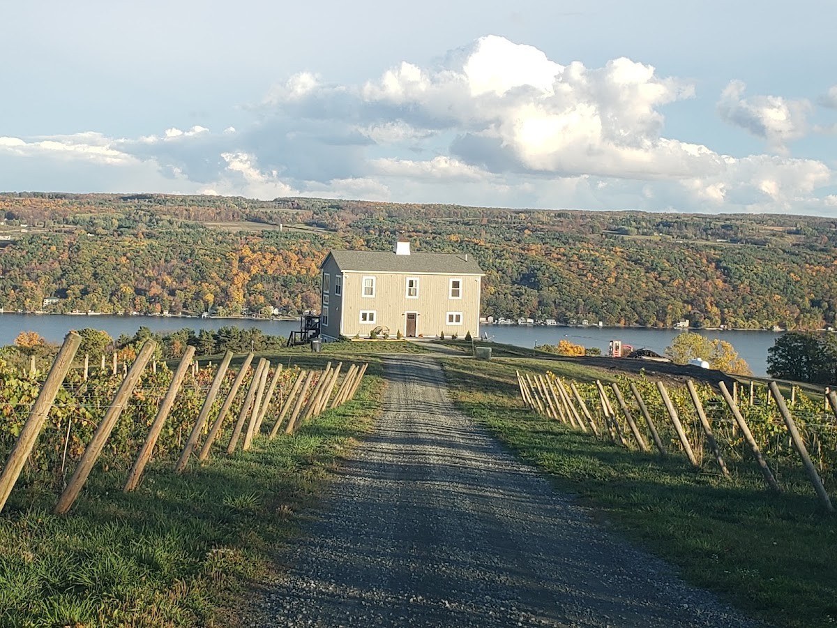 Divided SKY Vineyard. LLC
