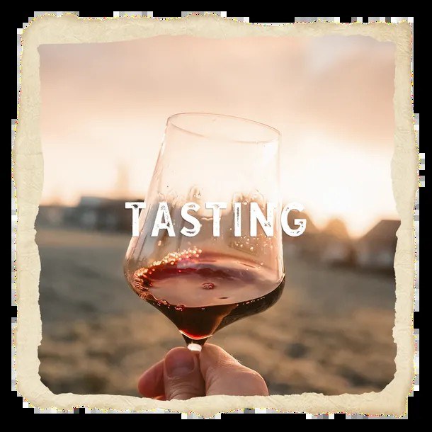 Myrtle Creek Vineyards LLC