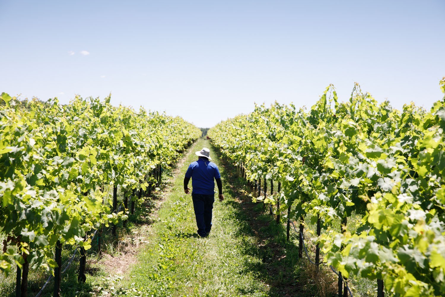St. James Winery