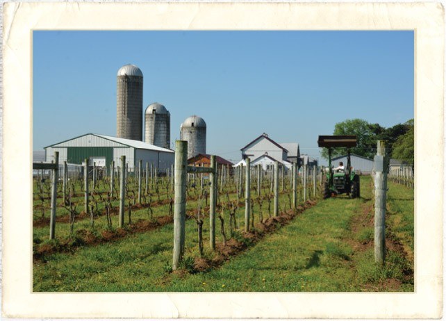 Crow Wine Cellars