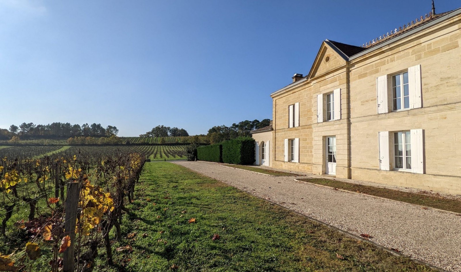 Marchetti Wines