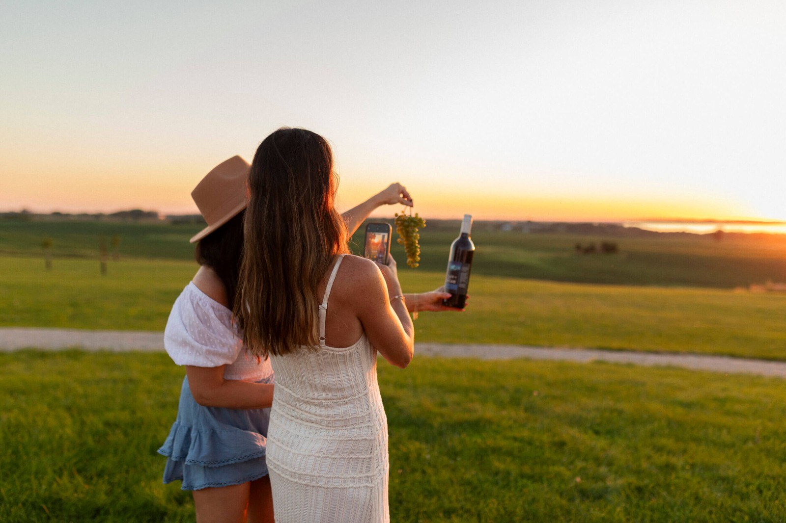 Rolling Forks Vineyards
