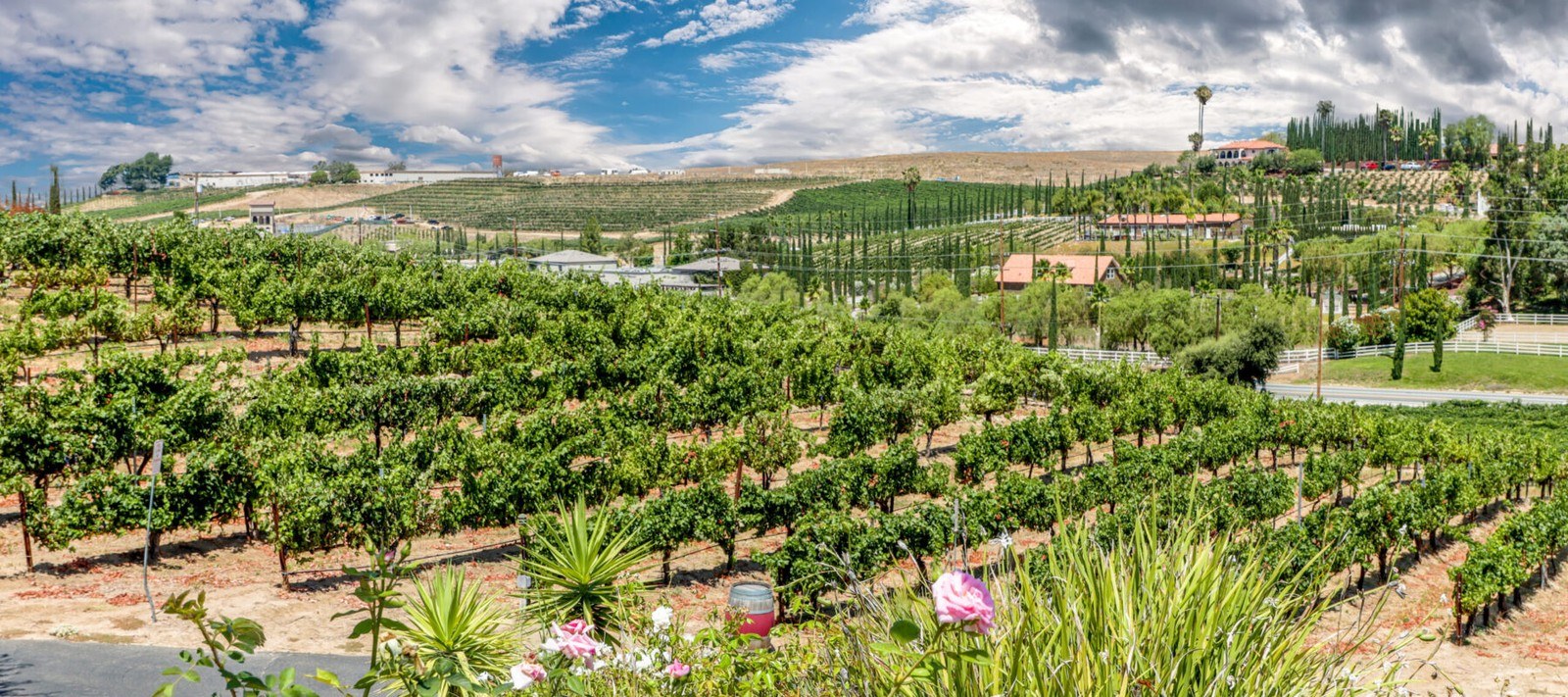 Churon Inn Winery