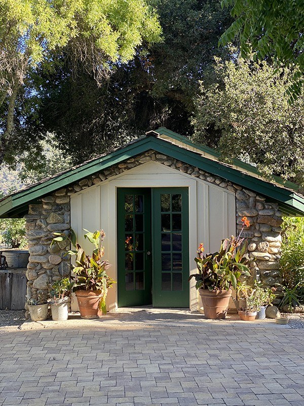 Mesa del Sol Vineyards