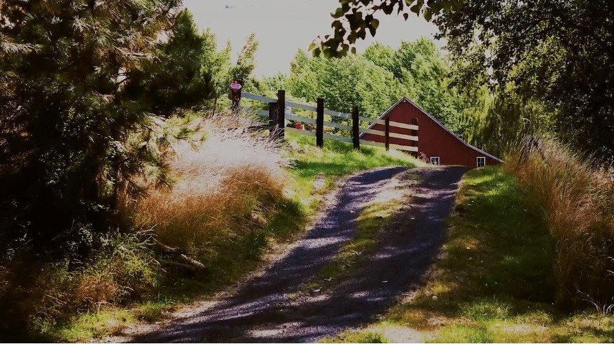 Stella's Homestead