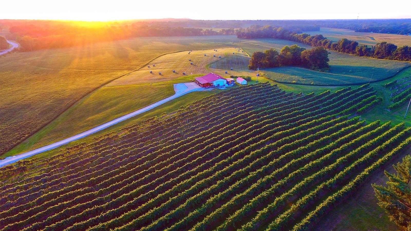Boucherie Vineyards & Winery
