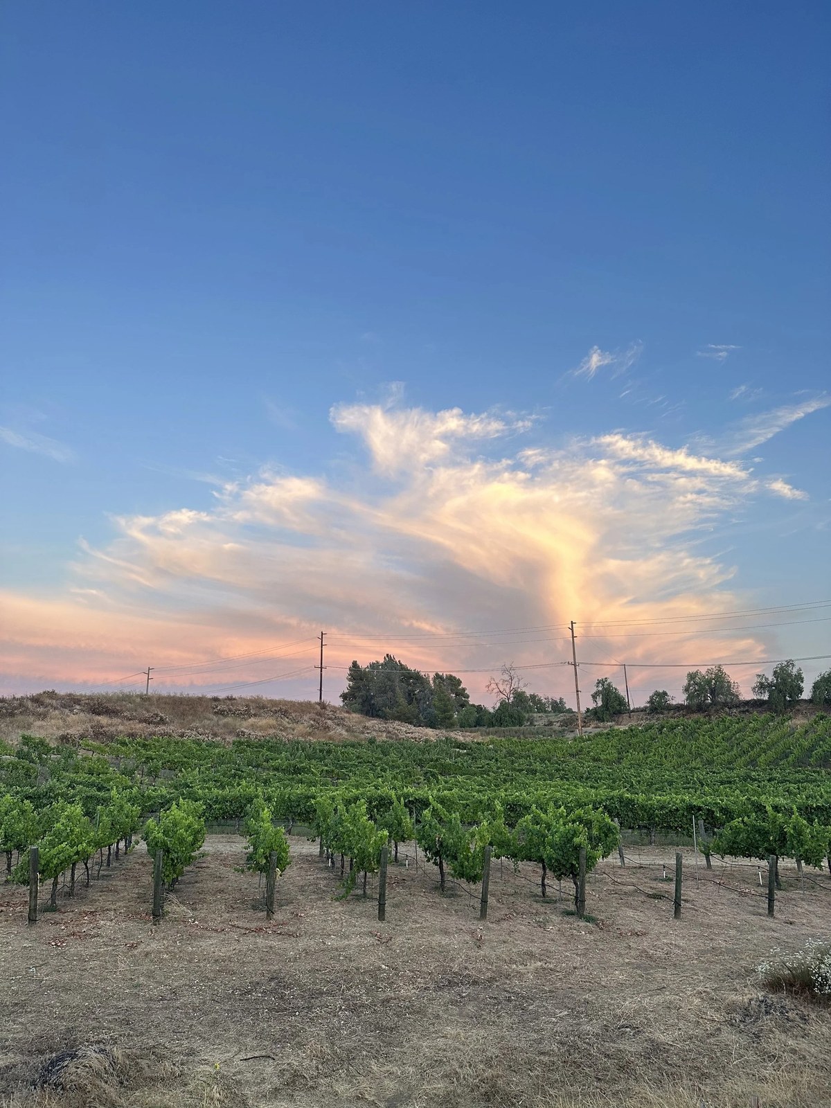 Jordan Parker Winery
