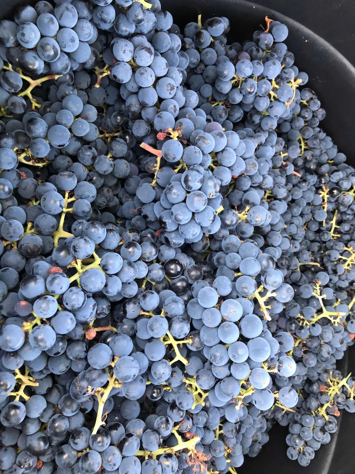 Woodgrain Winery LLC