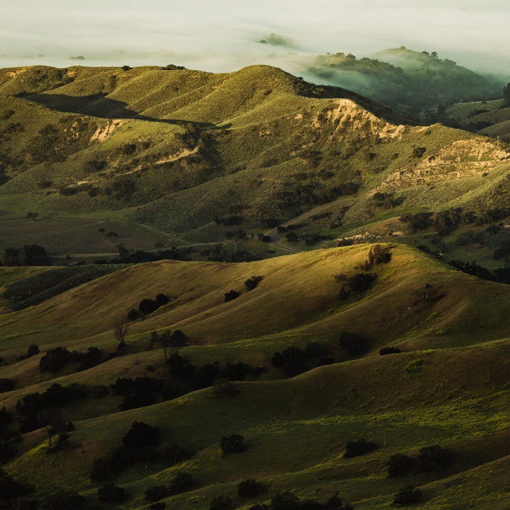Kiani Preserve Cellars