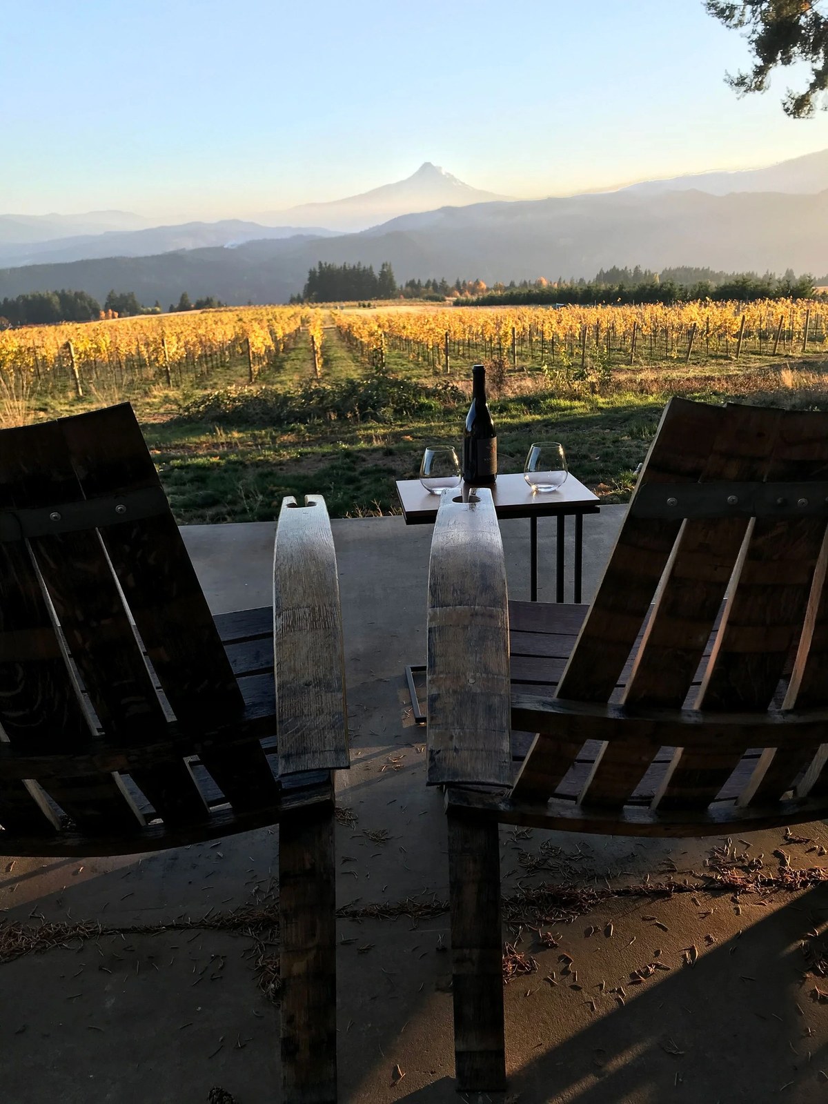 Wannamaker Estate Vineyard