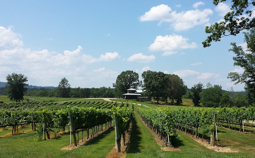 Tusquittee Valley Vineyards at River Oaks, LLC
