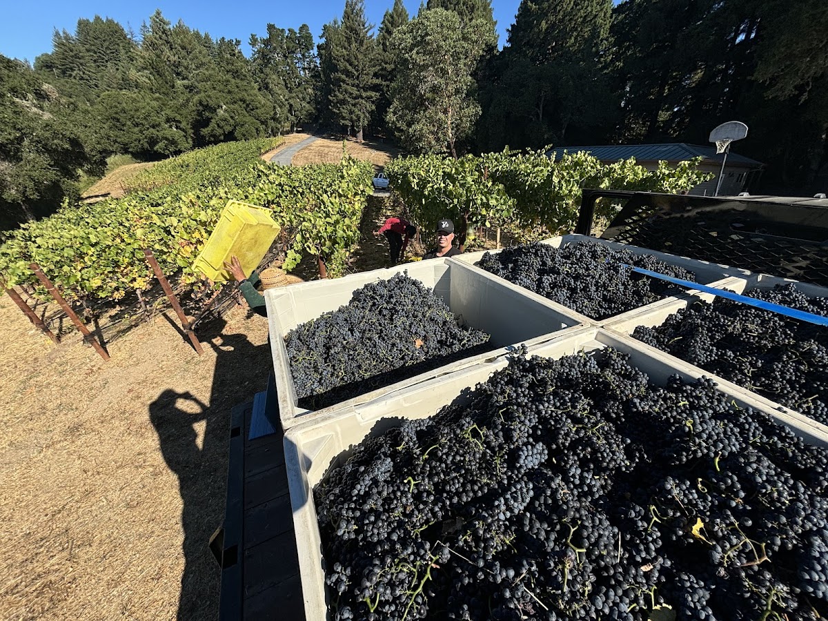 Twelve Stones Winery