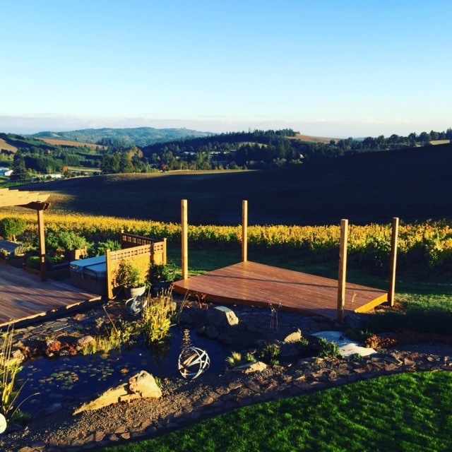 Twin Fir Vineyards