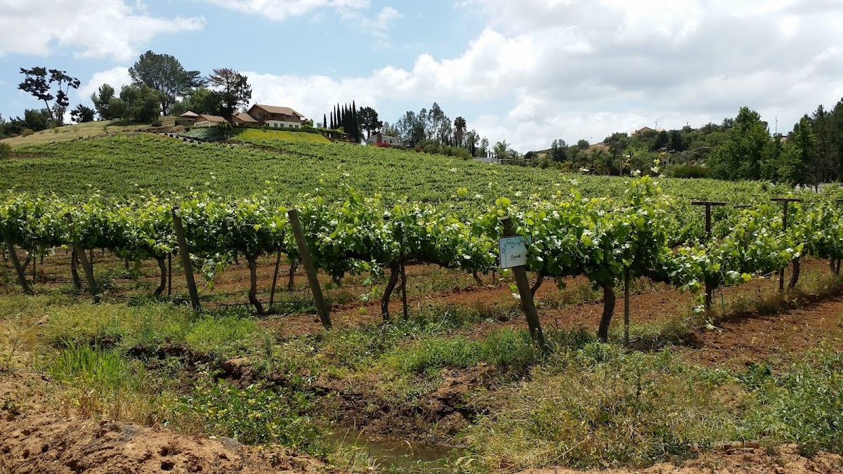 TWIN OAKS VALLEY WINERY