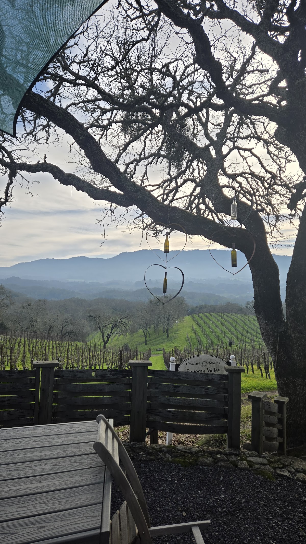 Two Amigos Winery