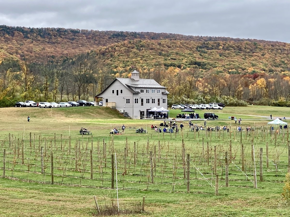 University Wine Company