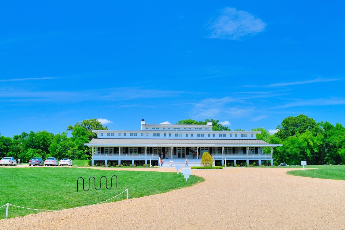 Upper Shirley Vineyards