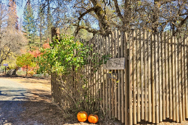 URSA Vineyard