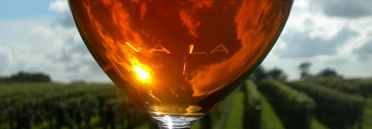 VA LA VINEYARDS, L.P.