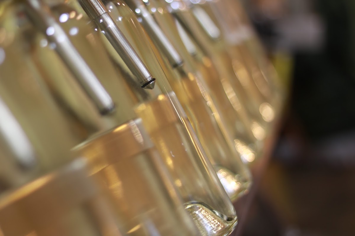 Valle della Pace Vineyards