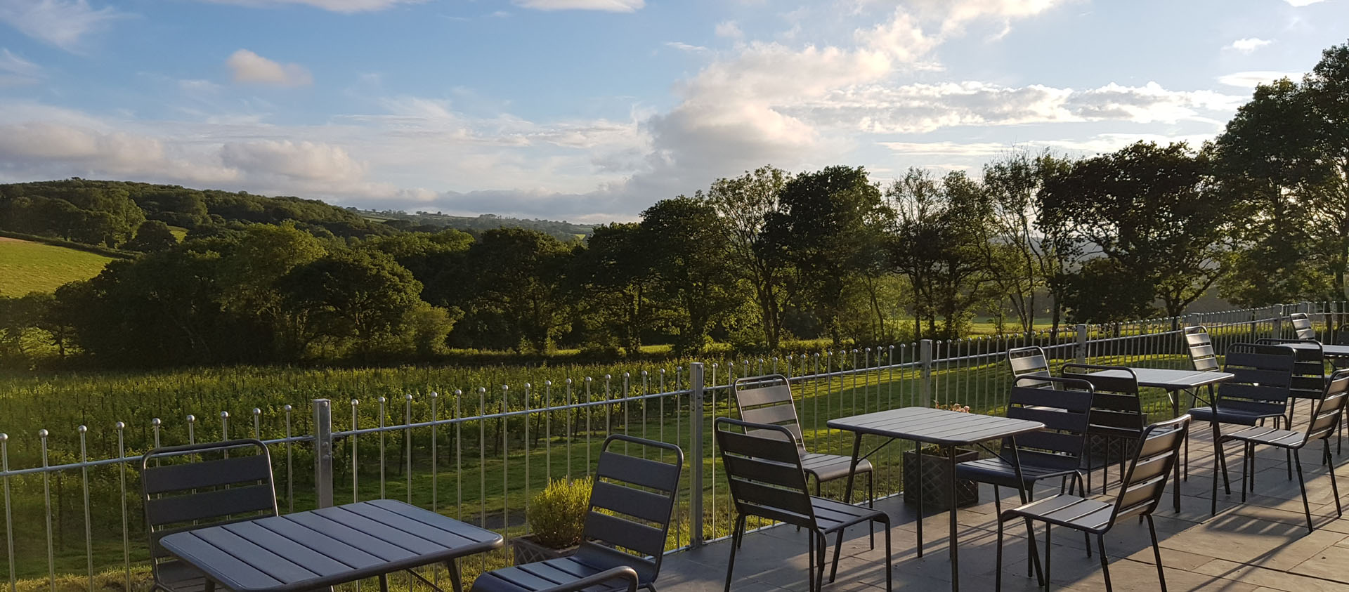 Velfrey Vineyard