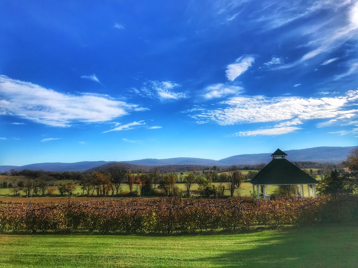 Veramar Vineyard
