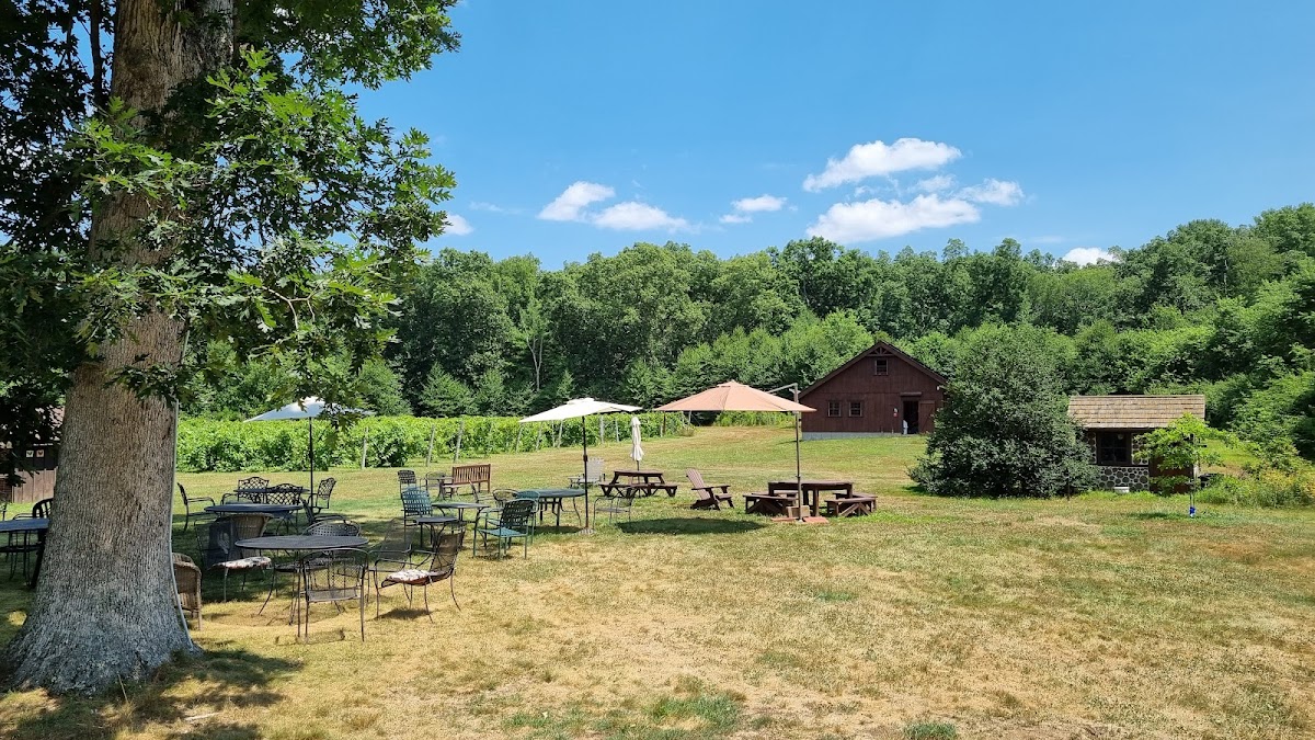 Verde Vineyards