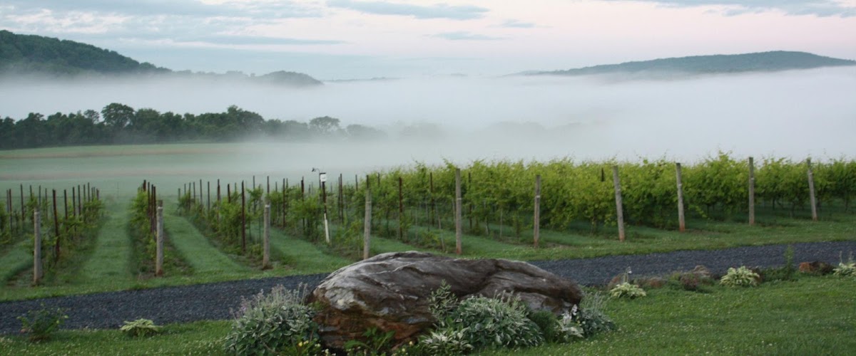 Villa Milagro Vineyards