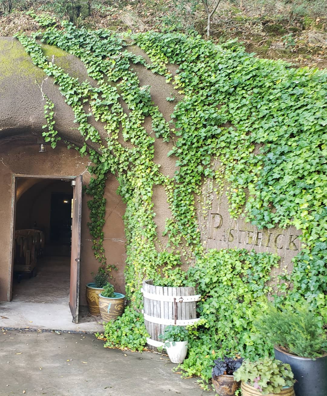Vineyard of Pasterick