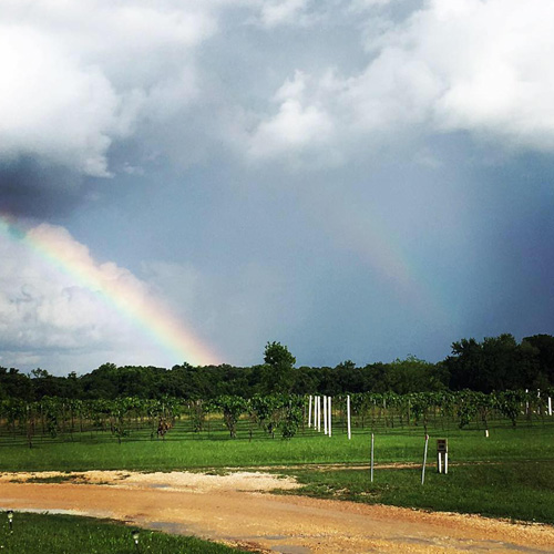 Waco Winery