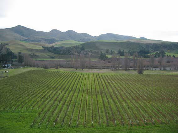 Waipara West