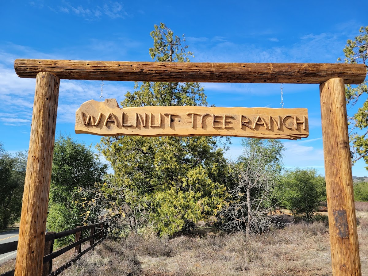 Walnut Tree Ranch