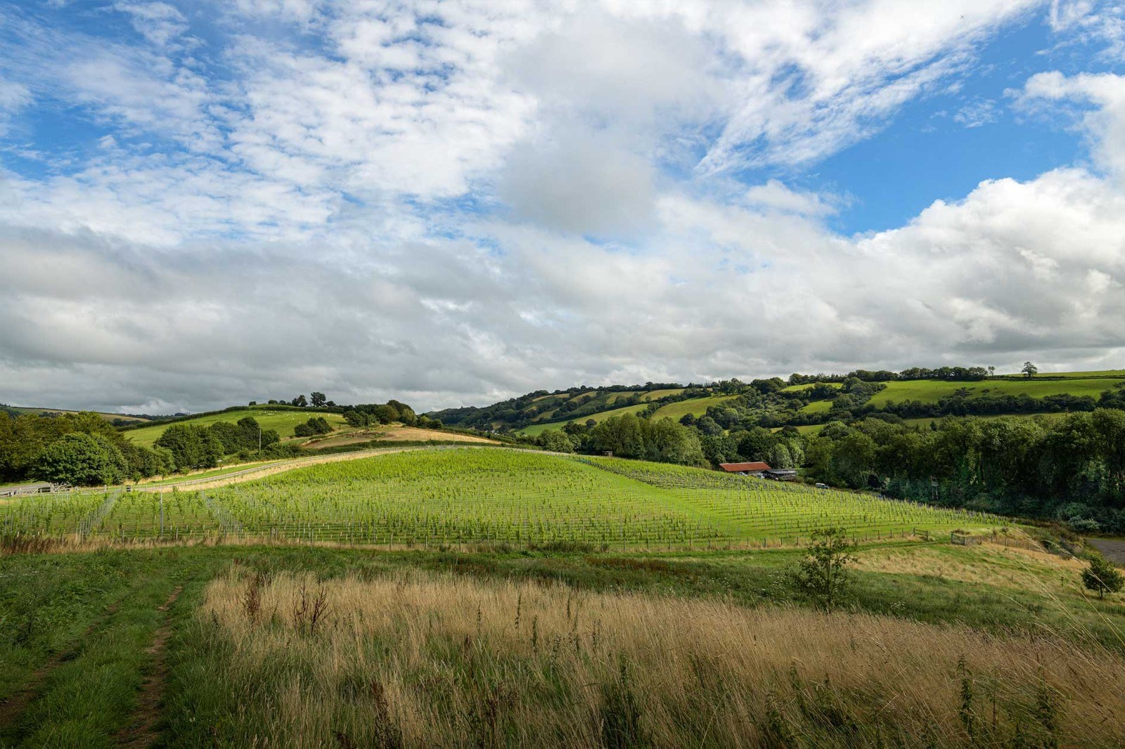 Venn Valley