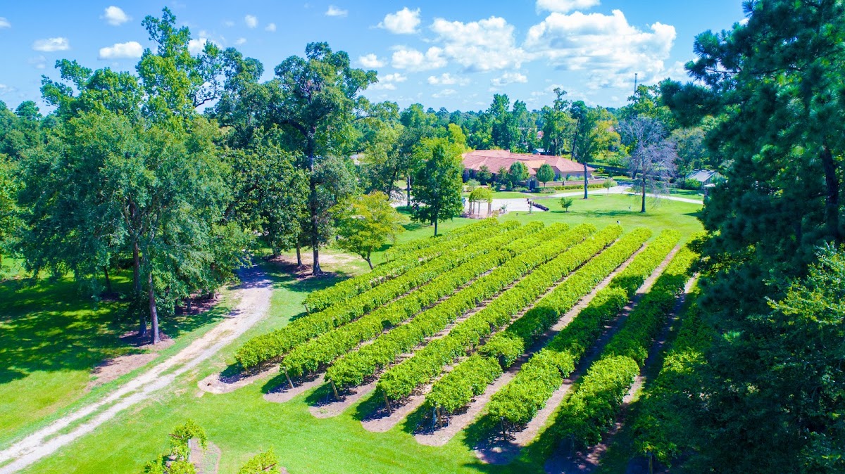 Wild Stallion Vineyards, LLC