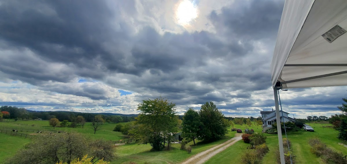 Willow Oaks LLC