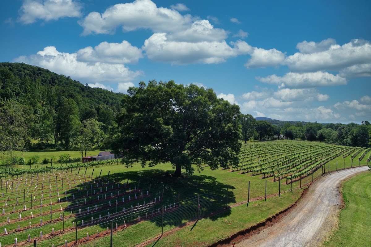 Wisdom Oak Winery