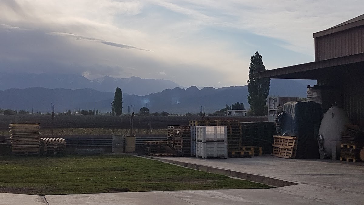 Bodega Los Maitenes