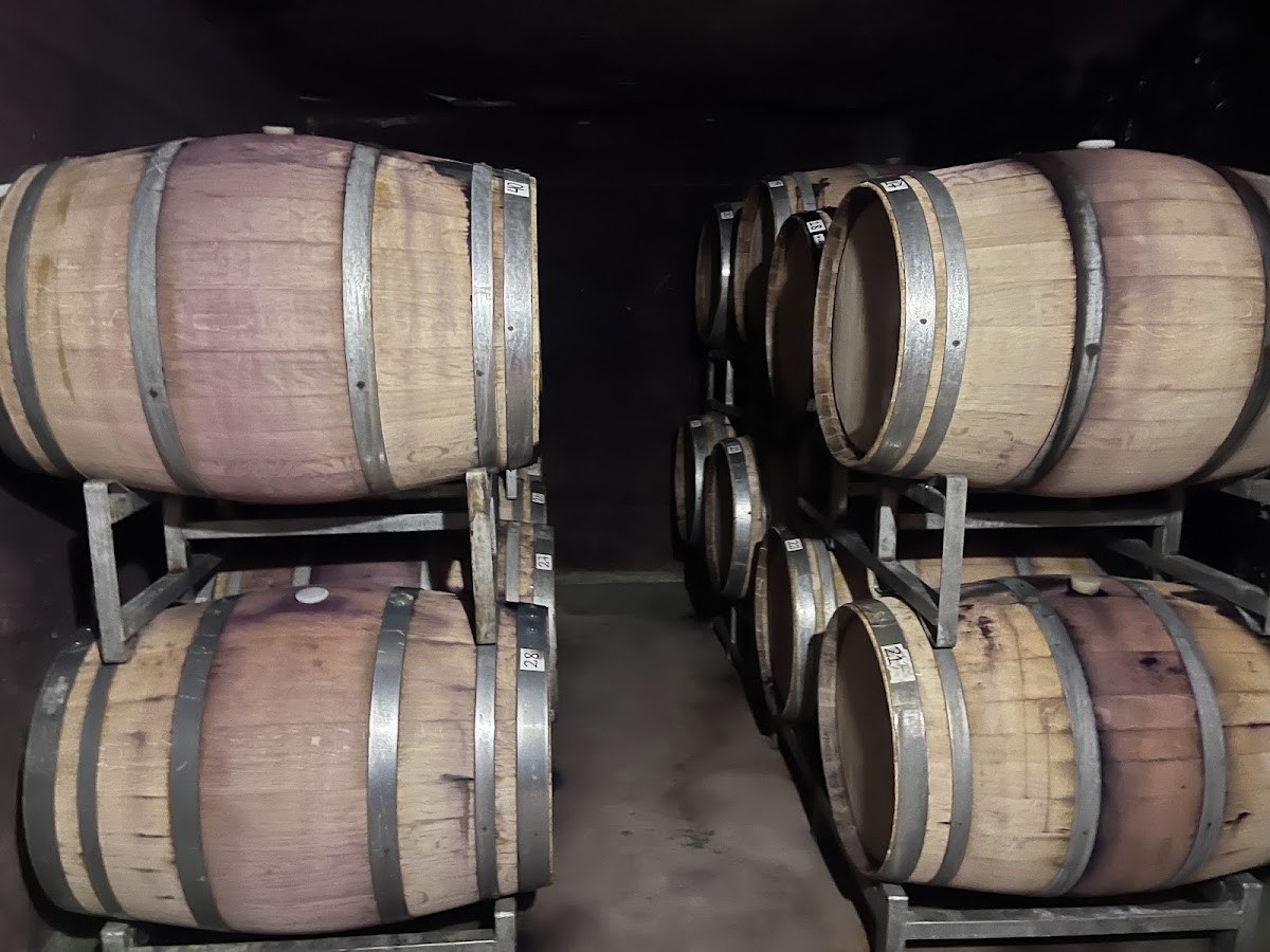 Bodega del Tupun