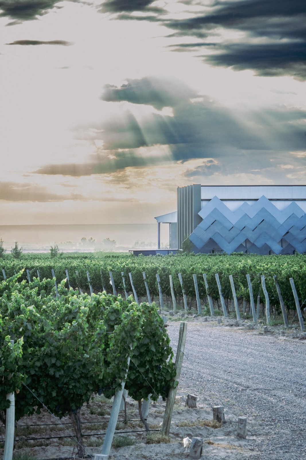 Bodegas y Viñedos Sanchez S.A.