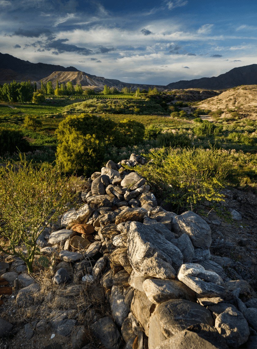 LA FINCA DE LOS VIÑEDOS IMPOSIBLES