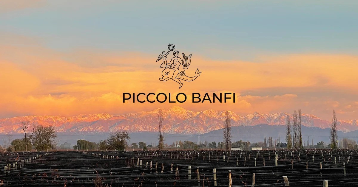 Piccolo Banfi