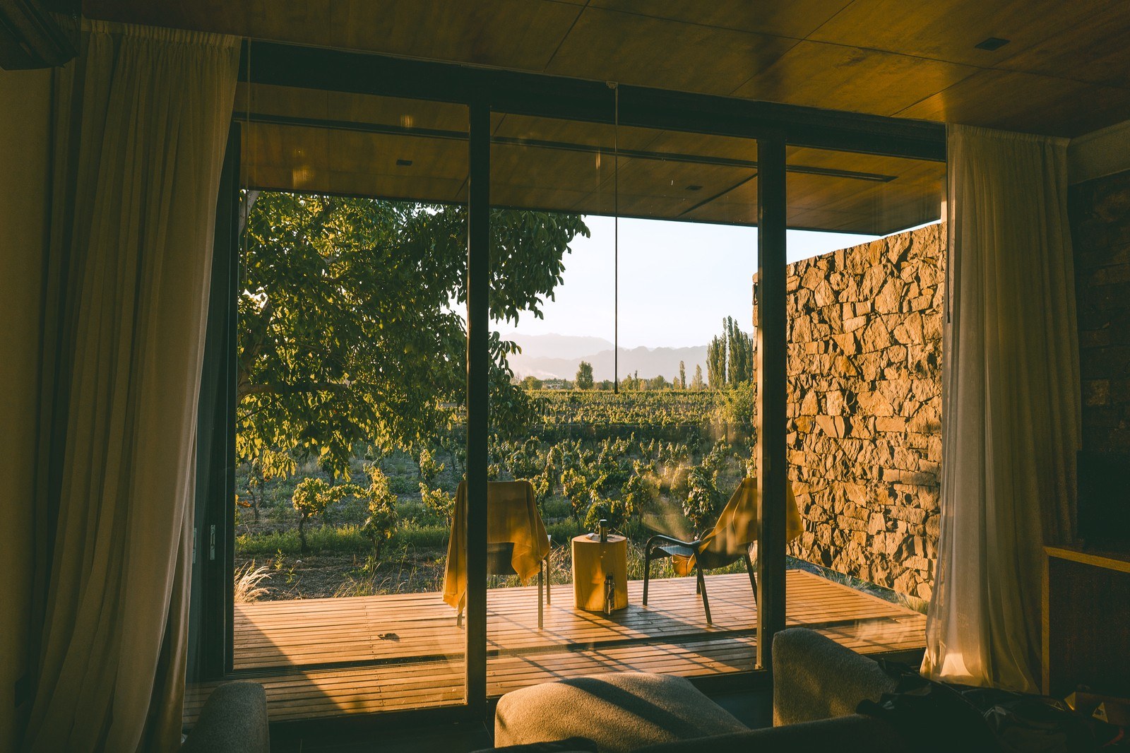 Ciclo Andino Wines