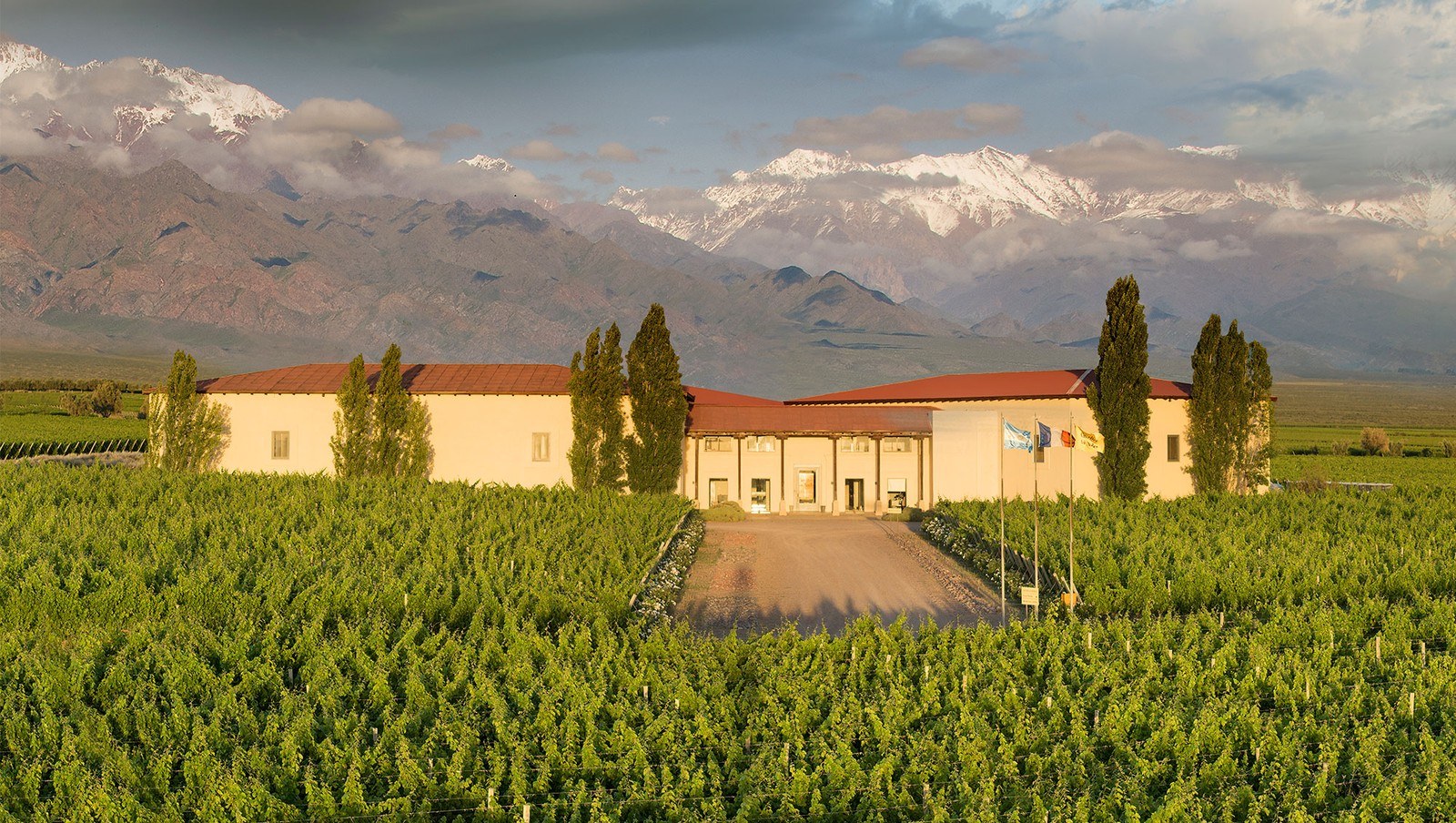 Cuvelier los Andes