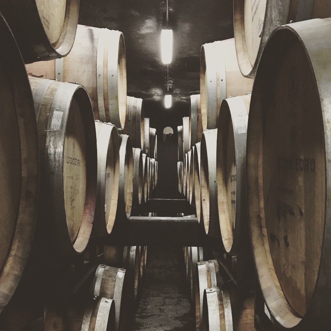 Bodega Altocedro