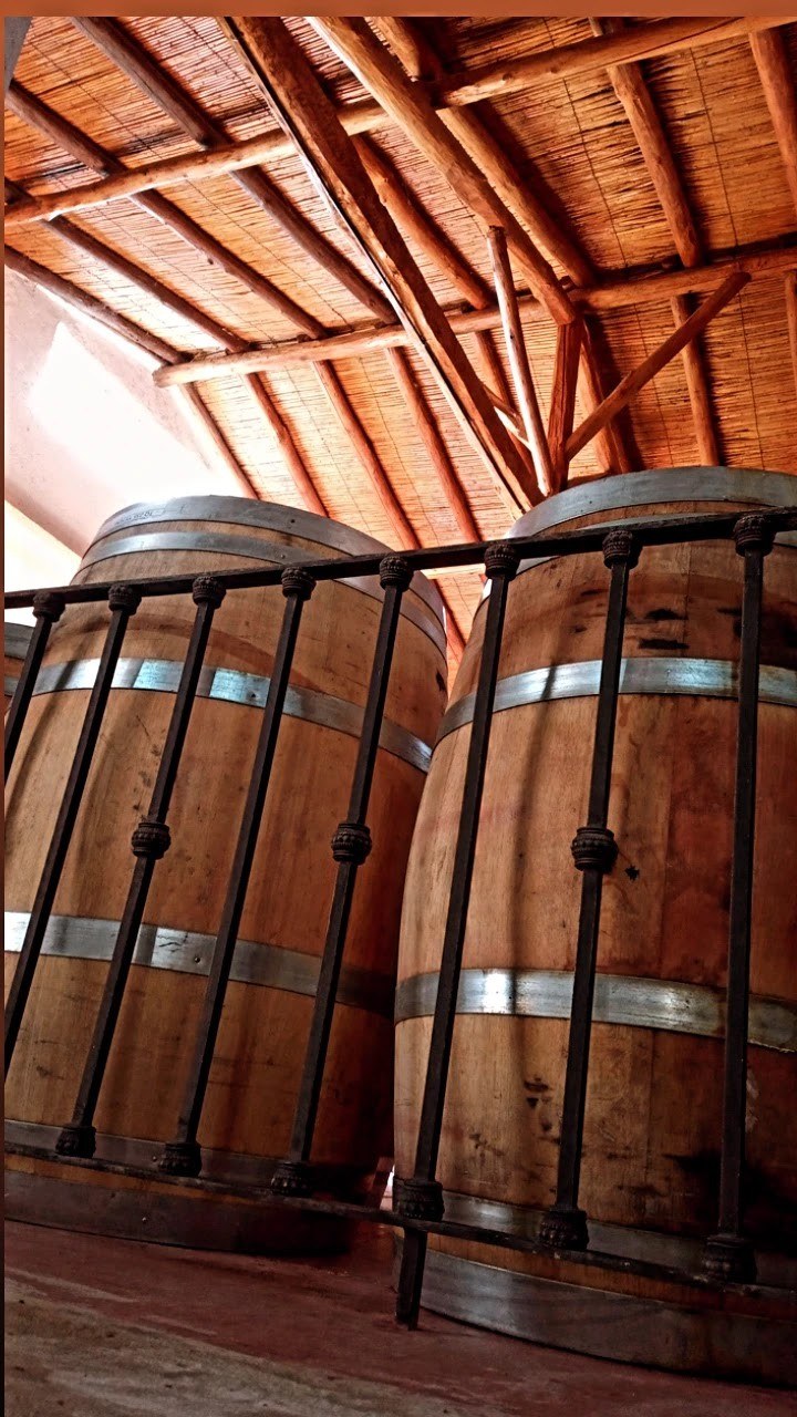 Selada Wines