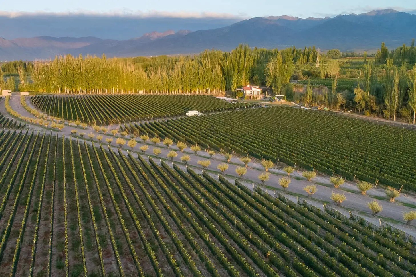 Bandini House of Wines
