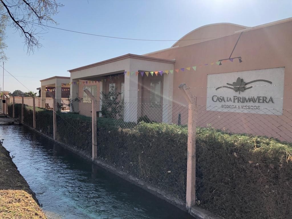 Bodega Casa la Primavera