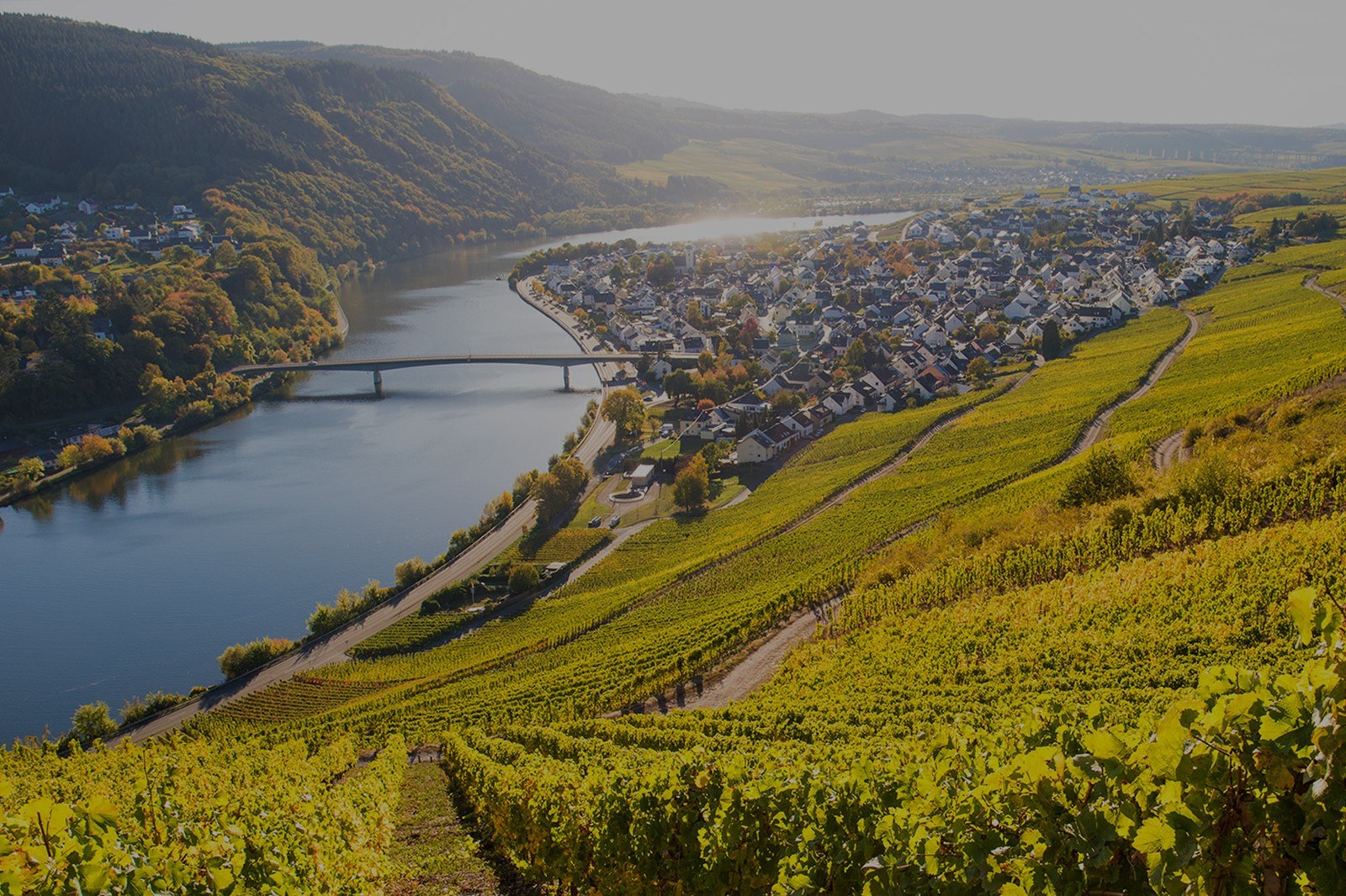 Weingut Alfred Frick