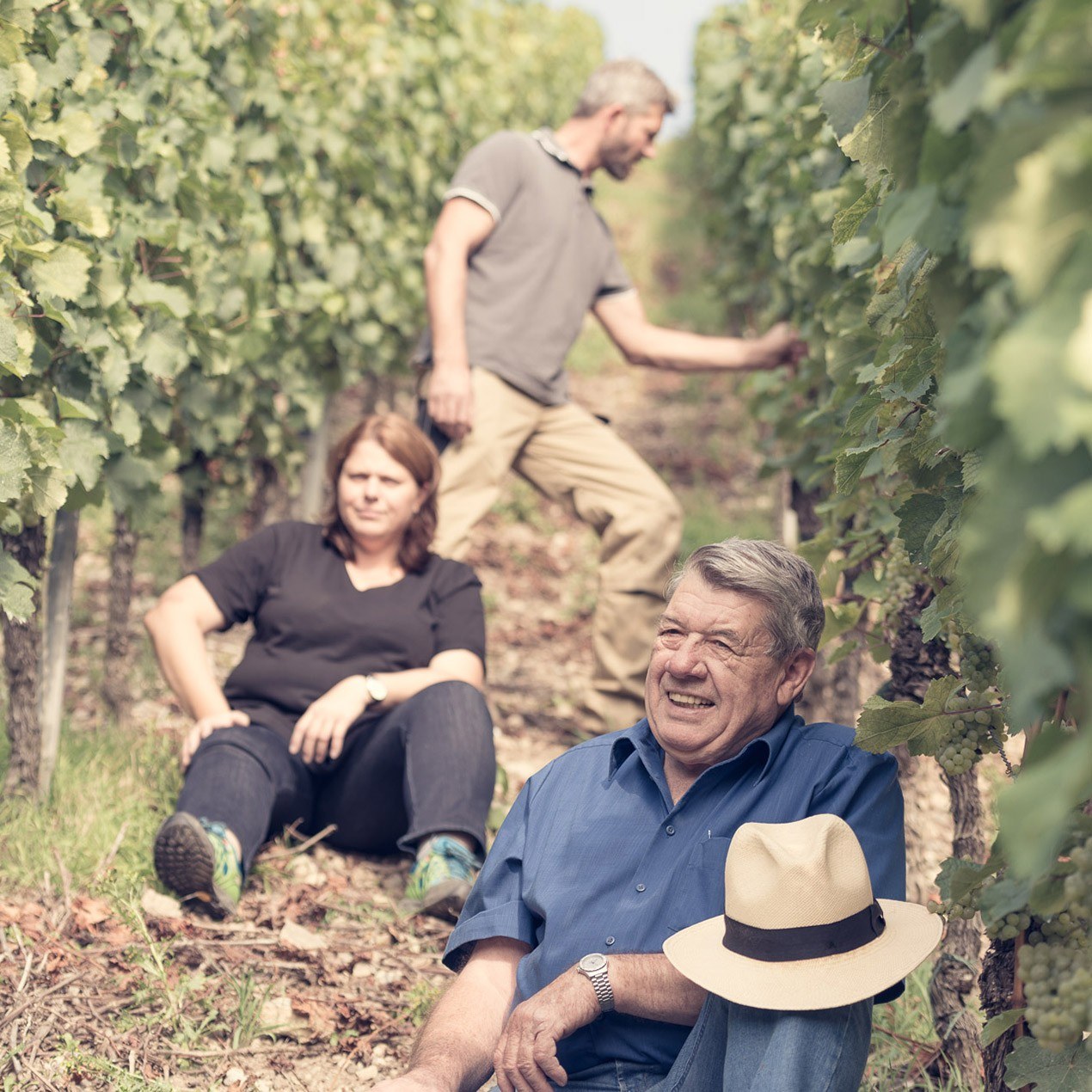 Weingut Störrlein Krenig
