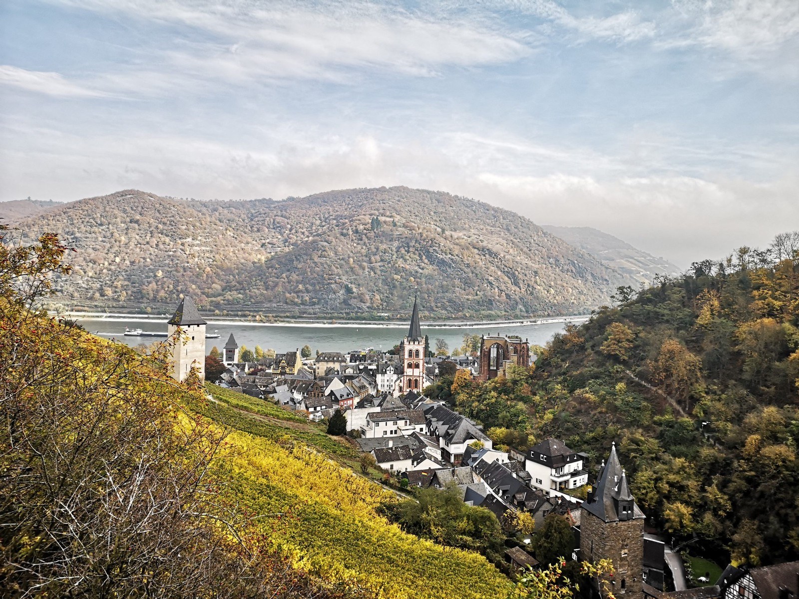Weingut Schüler